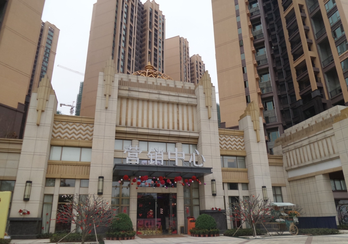 除甲醛案例-深圳宇宏健康花城