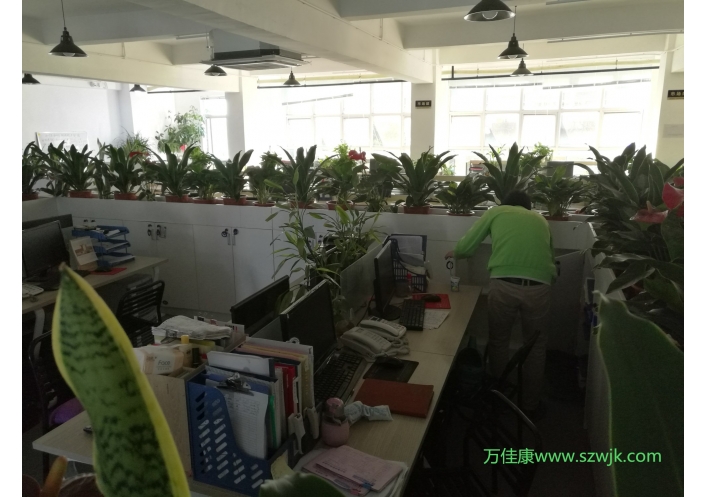 除甲醛案例-果尔佳建筑产业有限公司   