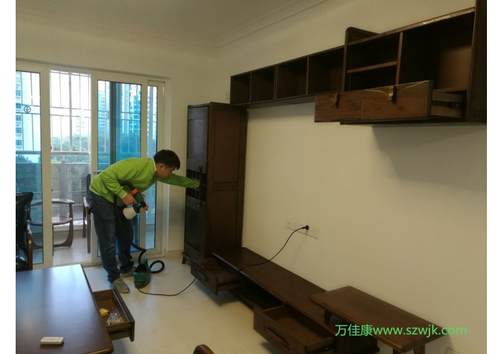 除甲醛案例-南山西丽桃源村